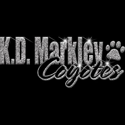 GLT1 SILVER GLITTER Thumbnail